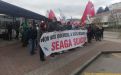 concent seaga 14 1 19 3