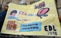 correlingua 2018 19